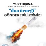 Yurtdışına DNA Nasıl Gönderilir?