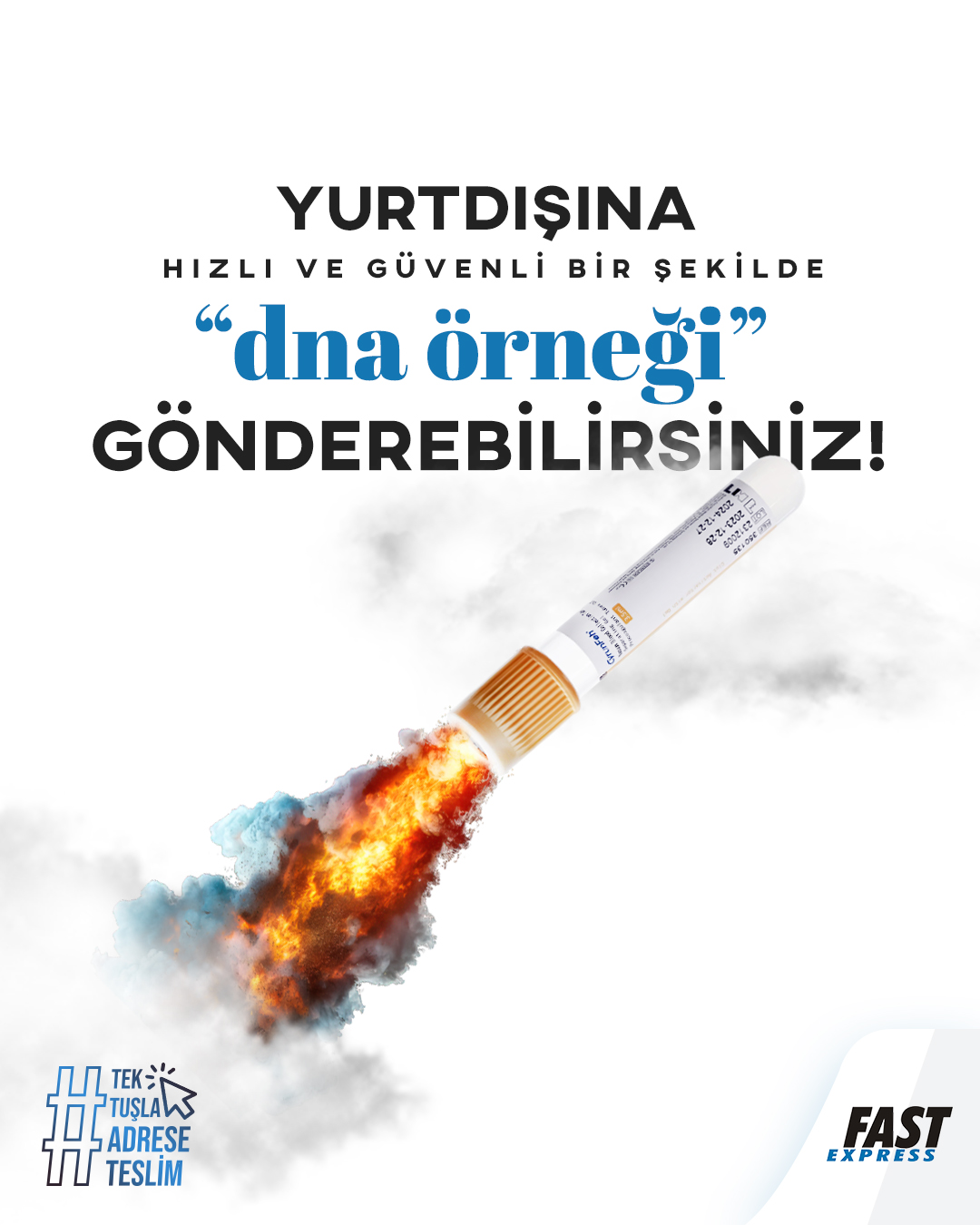 Yurtdışına DNA Nasıl Gönderilir?