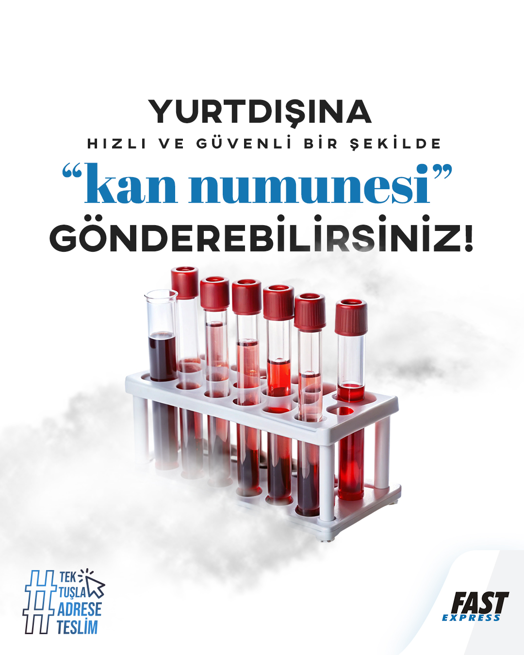 Yurtdışına Numune Nasıl Gönderilir?